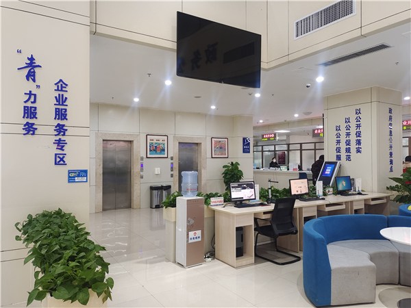 2023年青阳县政务公开专区建设成效显著，商务信息咨询服务高效便民