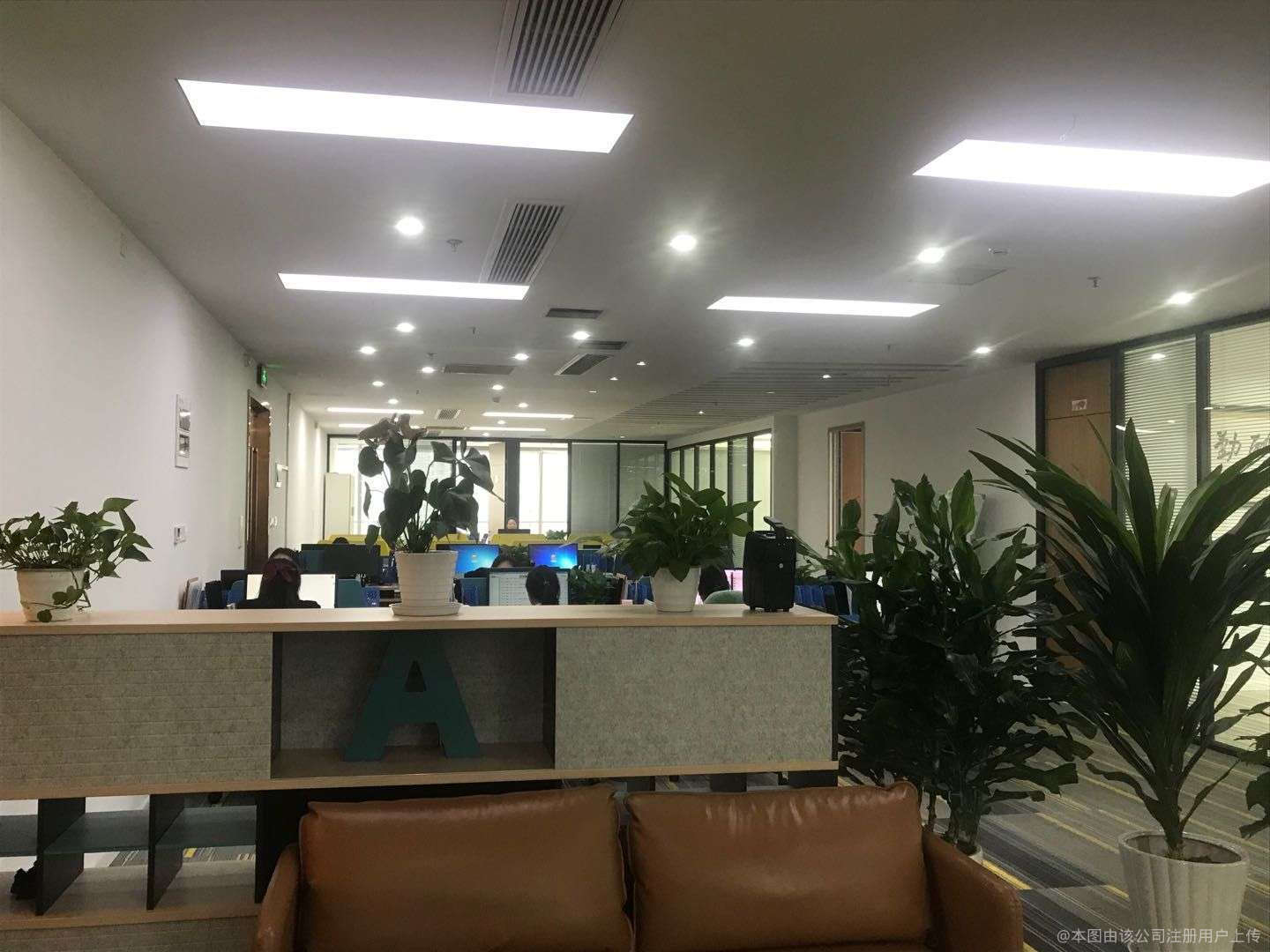 欣普维商务信息咨询 助力企业精准决策的智慧伙伴