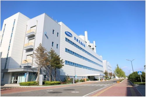 参展商变投资商 进博会见证三星产业升级与五金交电转型